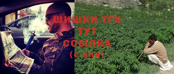 ГАЛЛЮЦИНОГЕННЫЕ ГРИБЫ Аркадак
