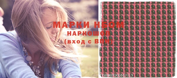 ГАЛЛЮЦИНОГЕННЫЕ ГРИБЫ Аркадак