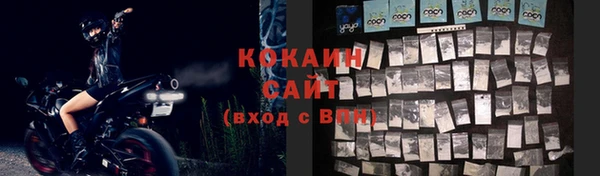 ГАЛЛЮЦИНОГЕННЫЕ ГРИБЫ Аркадак