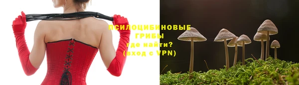стафф Армянск