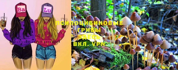 ГАЛЛЮЦИНОГЕННЫЕ ГРИБЫ Аркадак