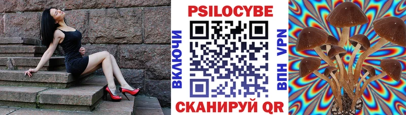 Псилоцибиновые грибы мухоморы  Теберда 